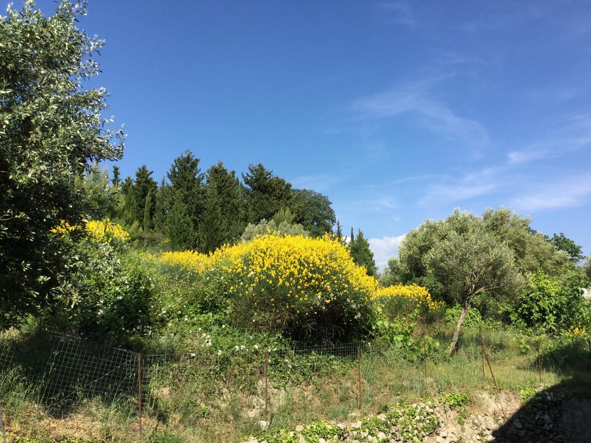 Apartament Filoxenia Kontogiannis