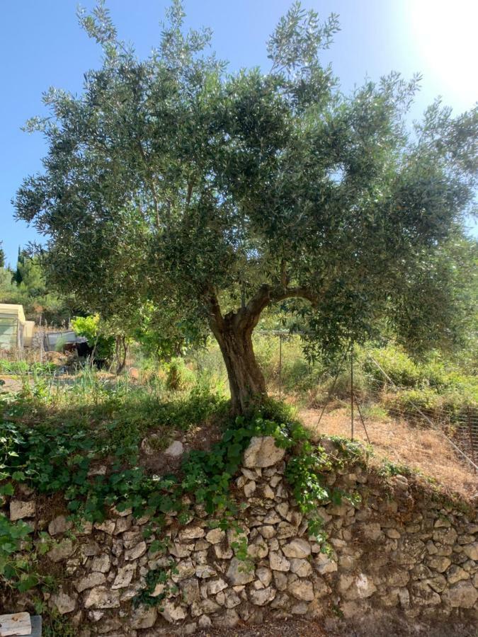 Apartament Filoxenia Kontogiannis Lazaráta